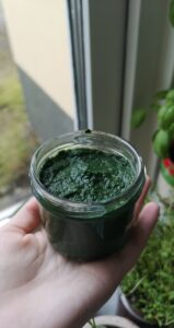 förkylningskur med spirulina för tamråttor